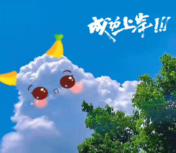 1637417288518553.png 1.png